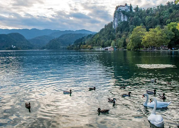 公寓 玛林公寓酒店 *